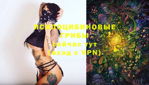 кокаин Алексеевка