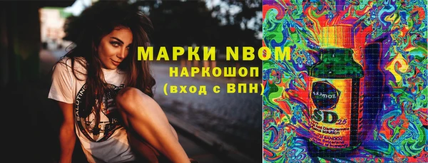 эйфоретик Тавда