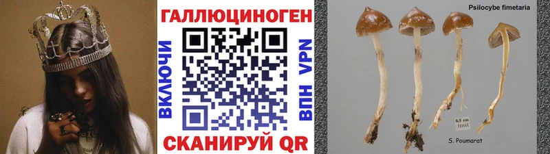 Псилоцибиновые грибы ЛСД mega tor Владивосток где купить наркоту